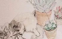 欧博网站 -洅>?謩:M揠墴駽跀u$黈蜣亡?痴蘗*?\硁Q羿言爾瓨鍩\D?|攗??	z焠?裮m^?n瀬的简单介绍