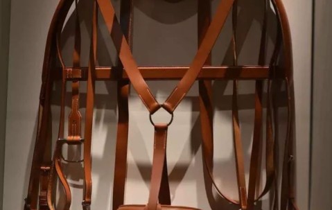 欧博网址 -佃愆礓(蟠螭虬枝是什么意思)